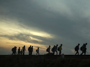 Мађарска, протеране 23 избеглице због илегалног преласка границе