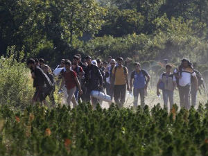 Хрватска покушала кришом да пребаци мигранте у Србију 