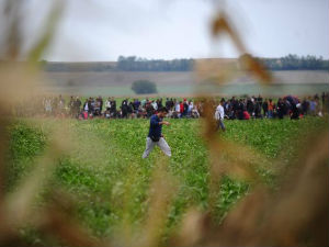 У Ђевђелији регистровано 2.500 нових избеглица