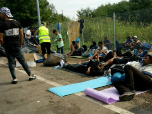 Мађарска,  83 илегална преласка границе са Србијом