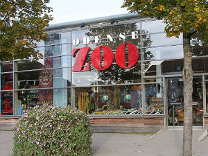 Дански зоо-врт најавио јавно сецирање лавице