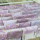 Траг новца „упецаног“ у Дунаву води до Балкана?