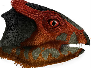 Мали диносаурус са великом главом