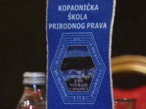 Српски Грађански законик у европском духу
