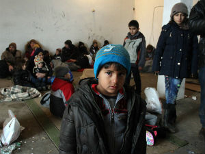 Цуцић: Од око 600.000 миграната осам затражило азил