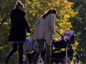 Портал Бебац критикује процедуру за повраћај новца породиљама