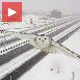 Поглед право у објектив – снежна сова и сигурносна камера 