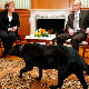 Путин: Нисам хтео псом да уплашим Меркелову