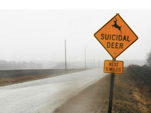 Знак упозорења на путу: Јелен самоубица