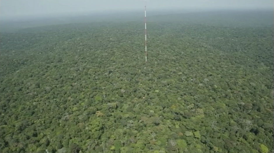 Почиње велико истраживање климатских промена у Амазонији