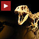Диносауруси изумирали пре катастрофалног удара астероида?