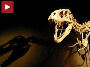 Диносауруси изумирали пре катастрофалног удара астероида?