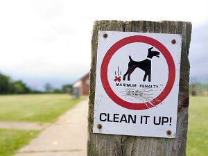 Драконске казне за власнике који не чисте за својим псима
