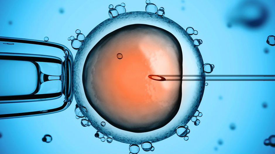 Први пут развијен људски ембрион у лабораторији
