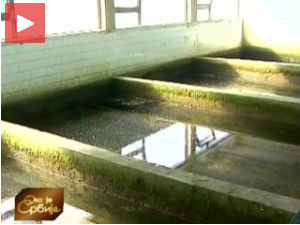 Вишегодишње рестрикције воде у Смедеревској Паланци 