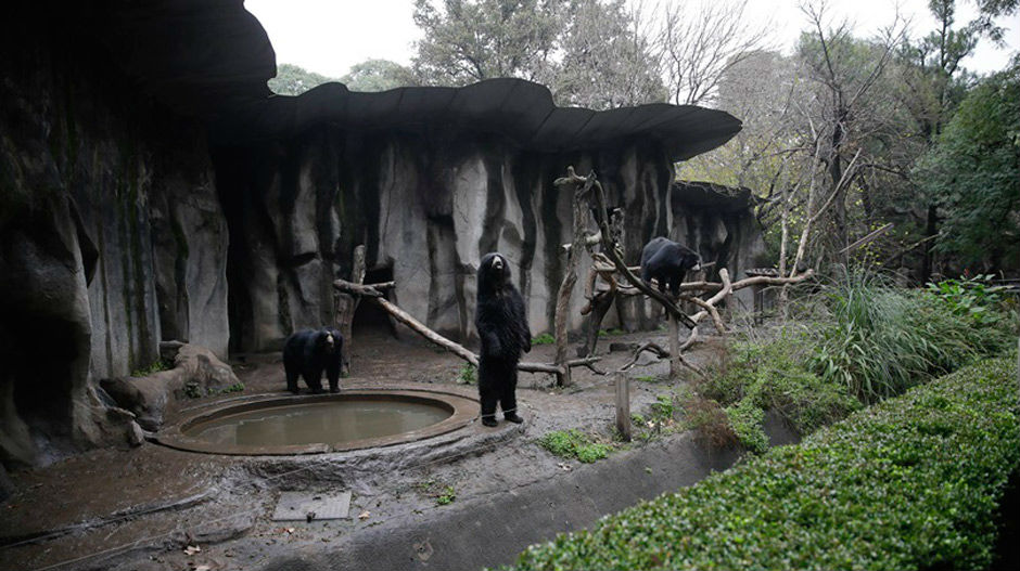 Аргентински зоо-врт пушта животиње на слободу