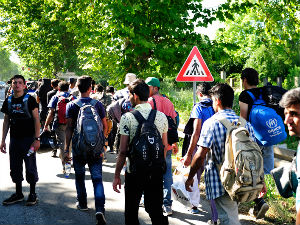 Група од 200 миграната наставила пут ка Мађарској