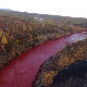 „Kрвава река“ усред Сибира