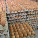 Да ли инспектори довољно често контролишу јаја?