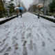 Први новембарски снег у Токију после 54 године