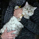 Рус продао мачка „с натприродним моћима“ за 78.000 евра