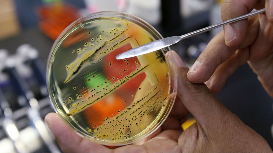 На листи најопаснијих чак 12 бактерија