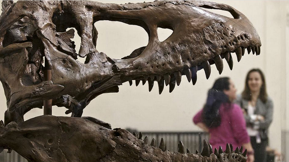 Научници довели у питање породично стабло диносауруса