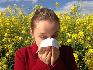 Алергије, болест модерног доба
