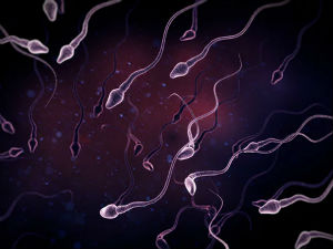 Драстичан пад концентрације сперматозоида у последњих 50 година