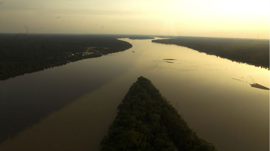 „Златна грозница“, највећи напад на Амазон у последњих 50 година