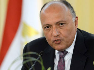  Шеф египатске дипломатије до краја године у посети Србији  