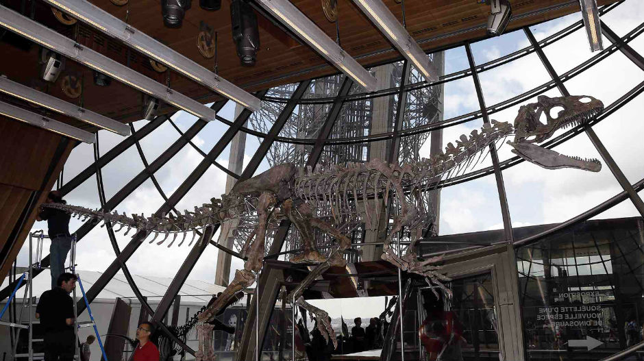 Скелет непознате врсте диносауруса премашио очекивања на аукцији