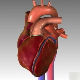 Нова метода за бржу дијагностику болести срца