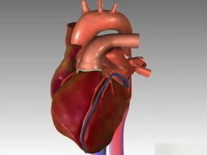 Нова метода за бржу дијагностику болести срца