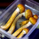 „Магичне“ печурке могле би да замене антидепресиве