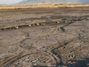 Фосилизовани отисци људских стопала стари 10.000 година пронађени у Африци