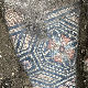 Археолози усред винограда пронашли савршено очуван мозаик из трећег века