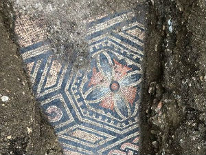 Археолози усред винограда пронашли савршено очуван мозаик из трећег века