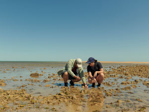 Аустралијски научници открили древна подводна налазишта Абориџина