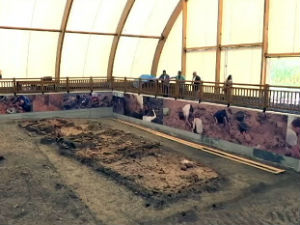 Археолошки локалитет Дреновац крије неолитски мегалополис
