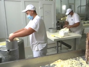 Darovi Stare planine samo u Pirotu – organski sir u korpi od leskovog pruća
