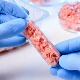 Да ли ћемо у будућности јести само месо из лабораторије