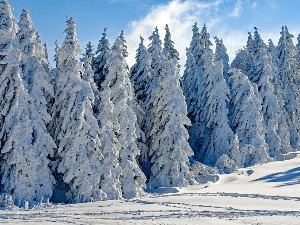 Климатолог Ђурђевић открива да ли од викенда креће тешка зима са пуно снега