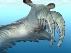 Морска звер чије око има 28.000 сочива - једна од најважнијих карика еволуције