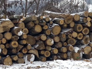 Ledeni dani povećali prodaju ogreva – stovarišta puna, a cene čak i niže