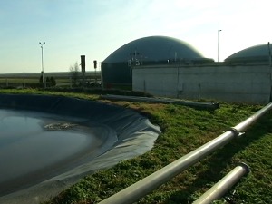 Bioenergana u Čurugu je jedna od najvećih u Evropi, kako se od stajnjaka dobija struja