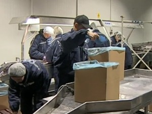 Toplički voćari preradili samo 20 odsto roda, ali krivac nije samo koronavirus