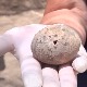Јаје старо 1.000 година, пронађено у септичкој јами у Израелу