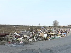 Industriji fali 50.000 tona starog papira – može li privreda da raste, a ne šteti prirodi
