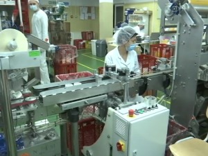 Kolika je “žilavost“ srpske privrede i u šta firme žele da ulažu – šta pokazuje anketa USAID-a